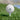 Custom Printed Golf Balls - 6 Pack
